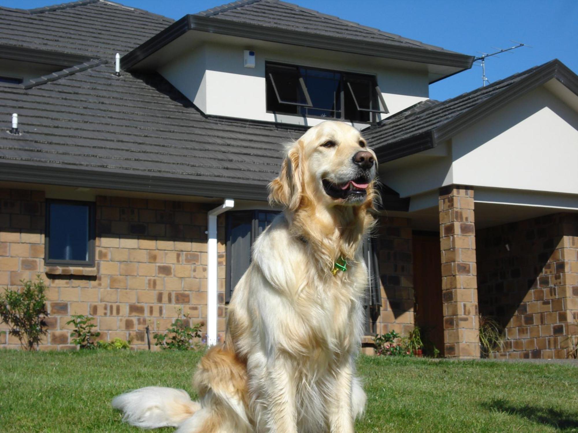 Ohuka Place Homestay Whitianga Exterior foto