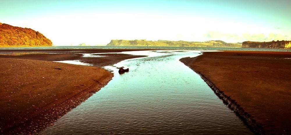 Ohuka Place Homestay Whitianga Exterior foto